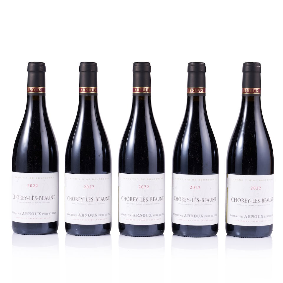Mixed Lot of Arnoux Père & Fils, 2021 & 2022 (25 x 750ml) - 4