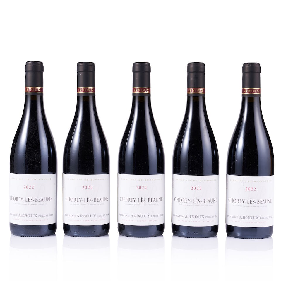 Mixed Lot of Arnoux Père & Fils, 2021 & 2022 (25 x 750ml) - 7