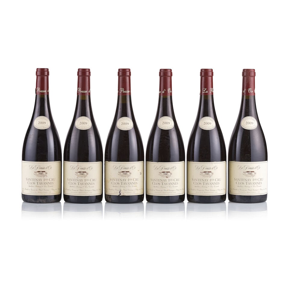 La Pousse d'Or, Santenay 1er Cru, Clos Tavannes, 2009 (17 x 750ml) - 4