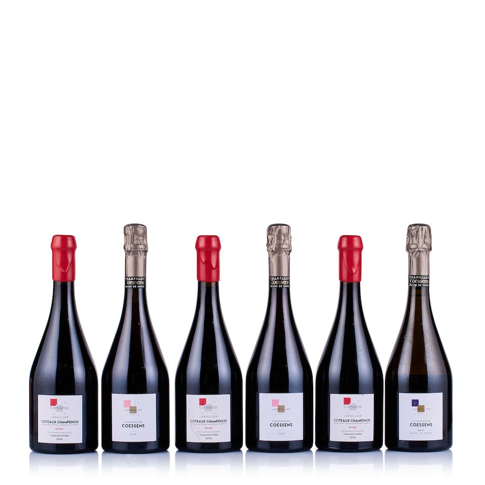 Mixed Lot of Champagne Coessens, 2014, 2015, 2016 & 2017 (18 x 750ml) - 2