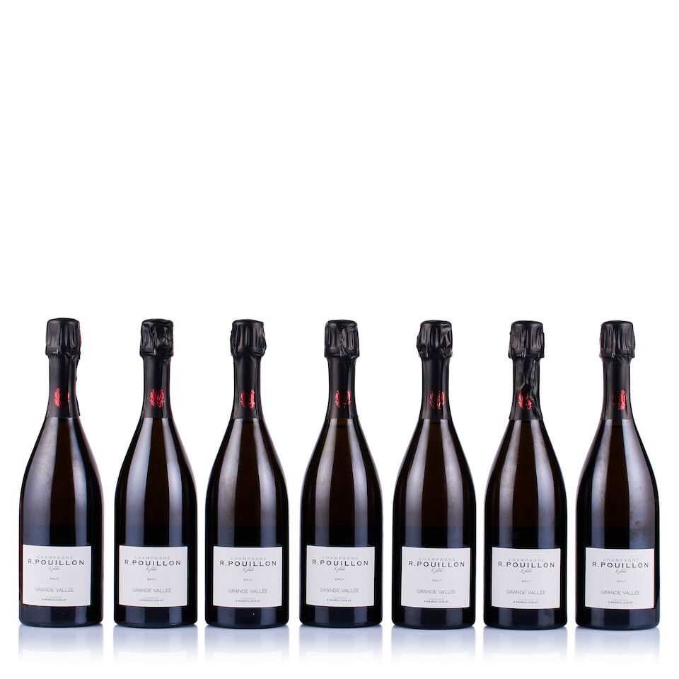 Mixed Lot of Champagne R. Pouillon & Fils, Non-Vintage, 2016, 2017 & 2018 (12 x 750ml & 2 x Magnum) - 2