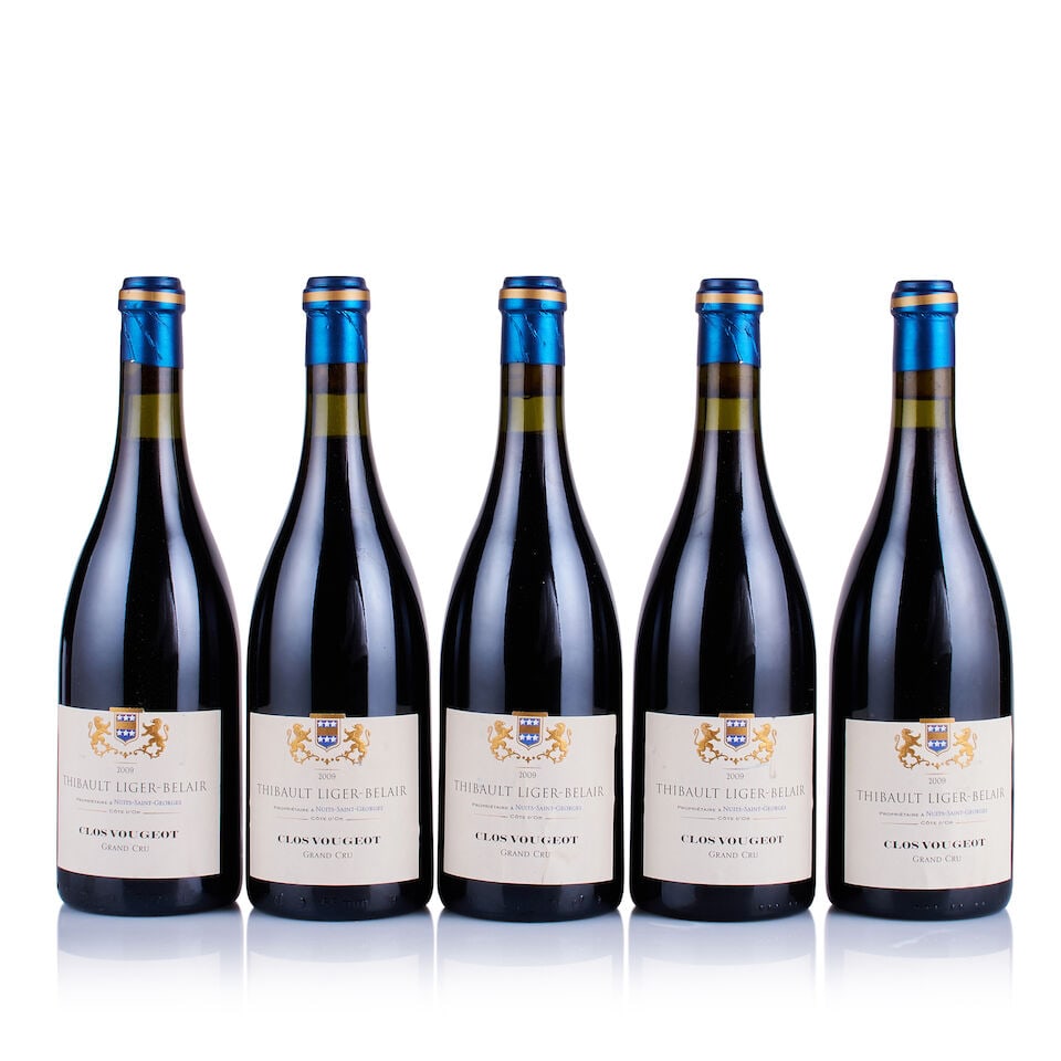 Thibault Liger-Belair, Clos Vougeot Grand Cru, 2008 & 2009 (11 x 750ml) - 3