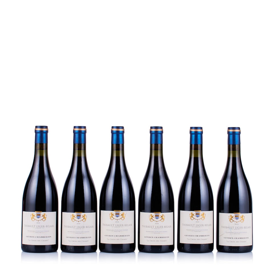 Thibault Liger-Belair, Gevrey-Chambertin, La Croix des Champs, 2014 & 2015 (12 x 750ml) - 3