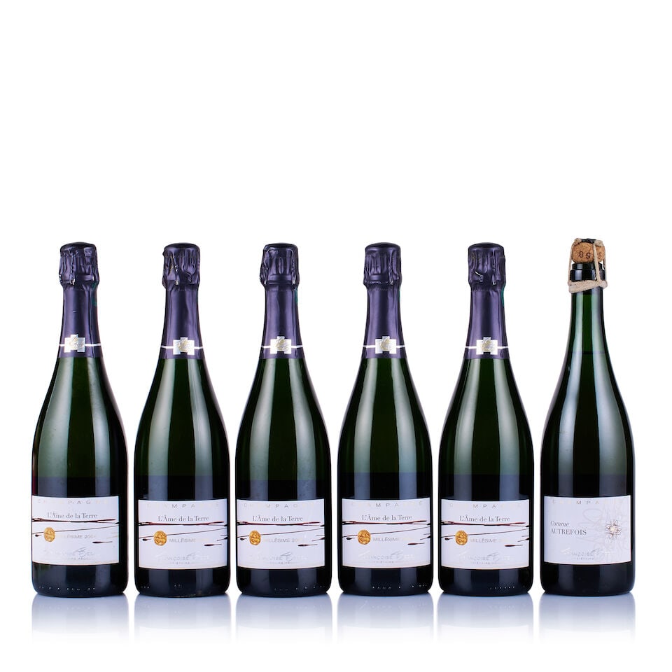 Mixed Lot of Champagne Françoise Bedel, 2004 & 2005 (6 x 750ml) (1 of 1)