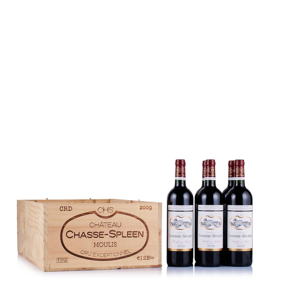 Château Chasse-Spleen, Moulis en Médoc, 2009 (11 x 750ml) (1 of 2)