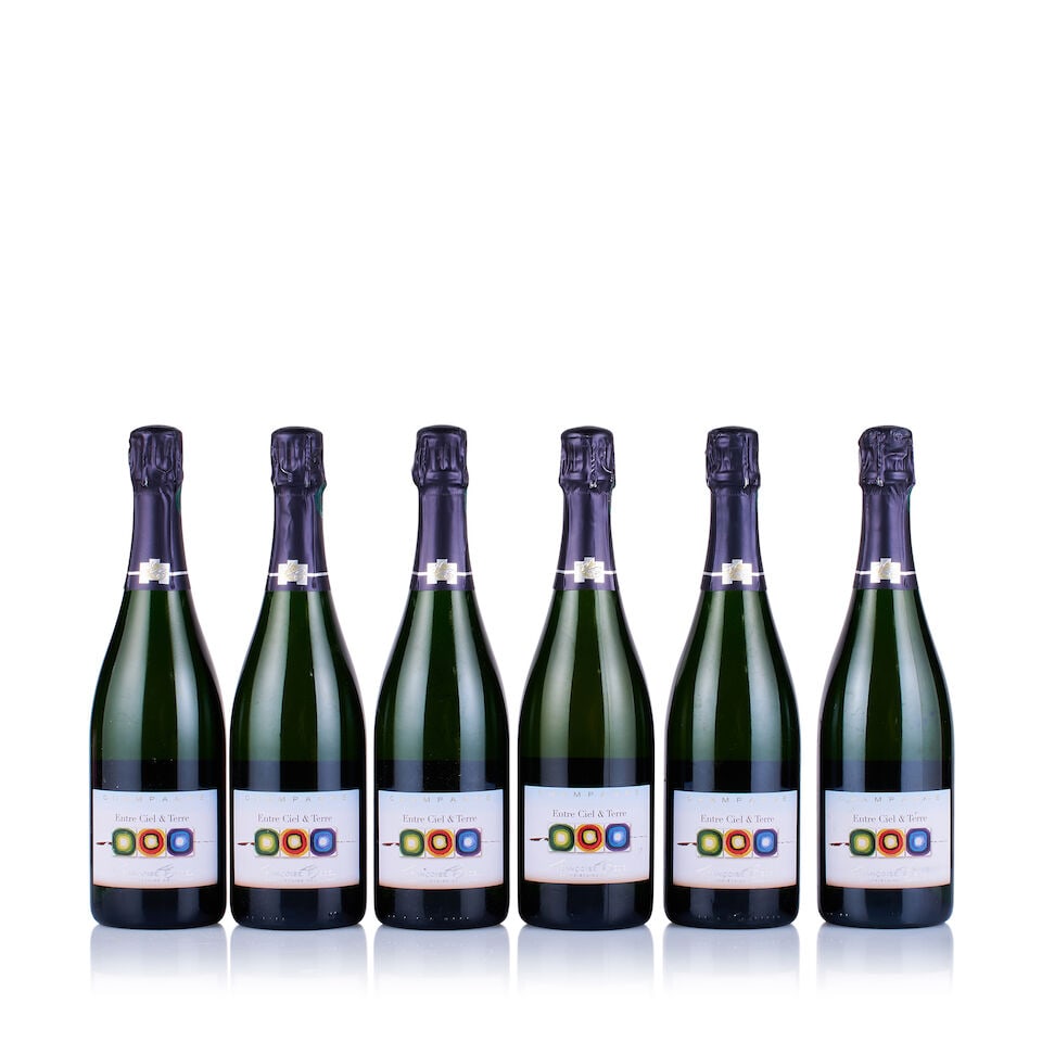 Mixed Lot of Champagne Françoise Bedel (19 x 750ml) - 3