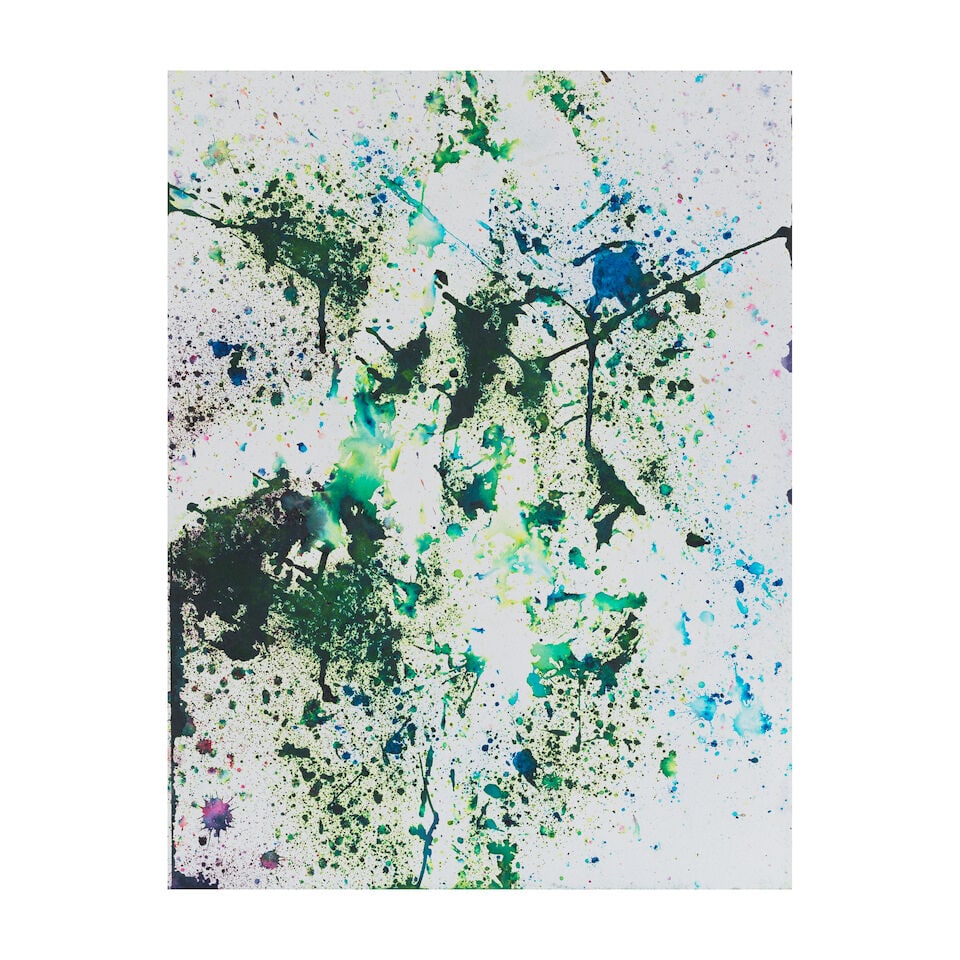 SAM FALLS (N. 1984) Sans titre Série Tiger Lillies 2013 (1 of 2)