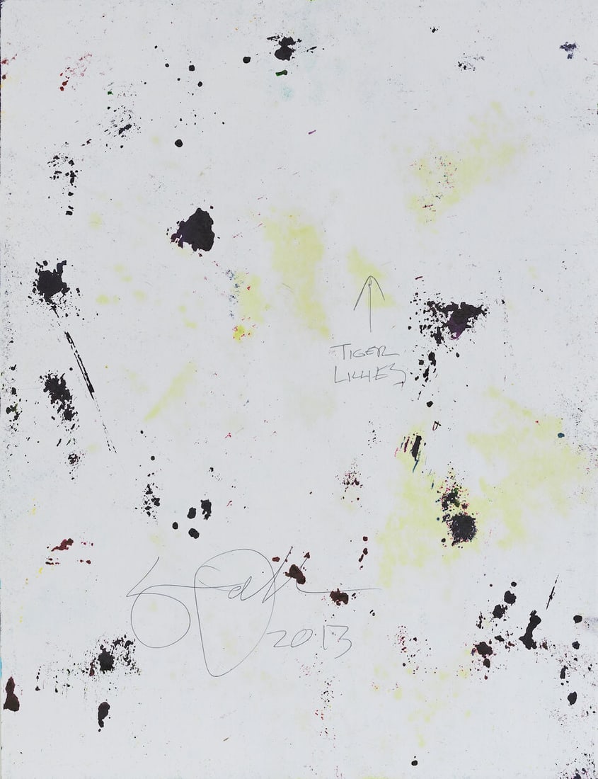 SAM FALLS (N. 1984) Sans titre Série Tiger Lillies 2013 - 2