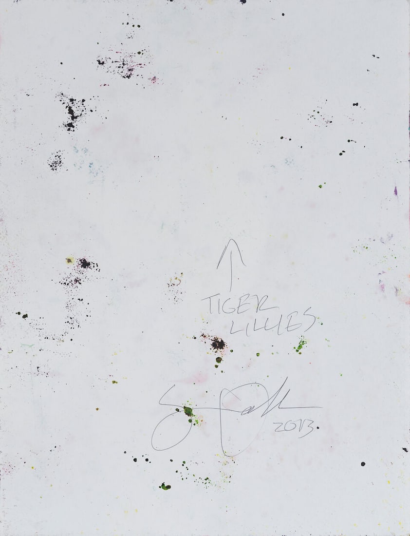 SAM FALLS (N. 1984) Sans titre Série Tiger Lillies 2013 - 2