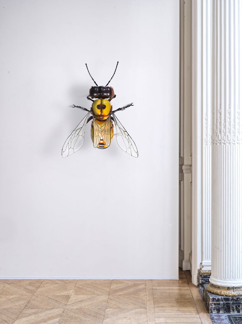 JEAN-FRANCOIS FOURTOU (N. 1964) Abeille 2012 (1 of 4)