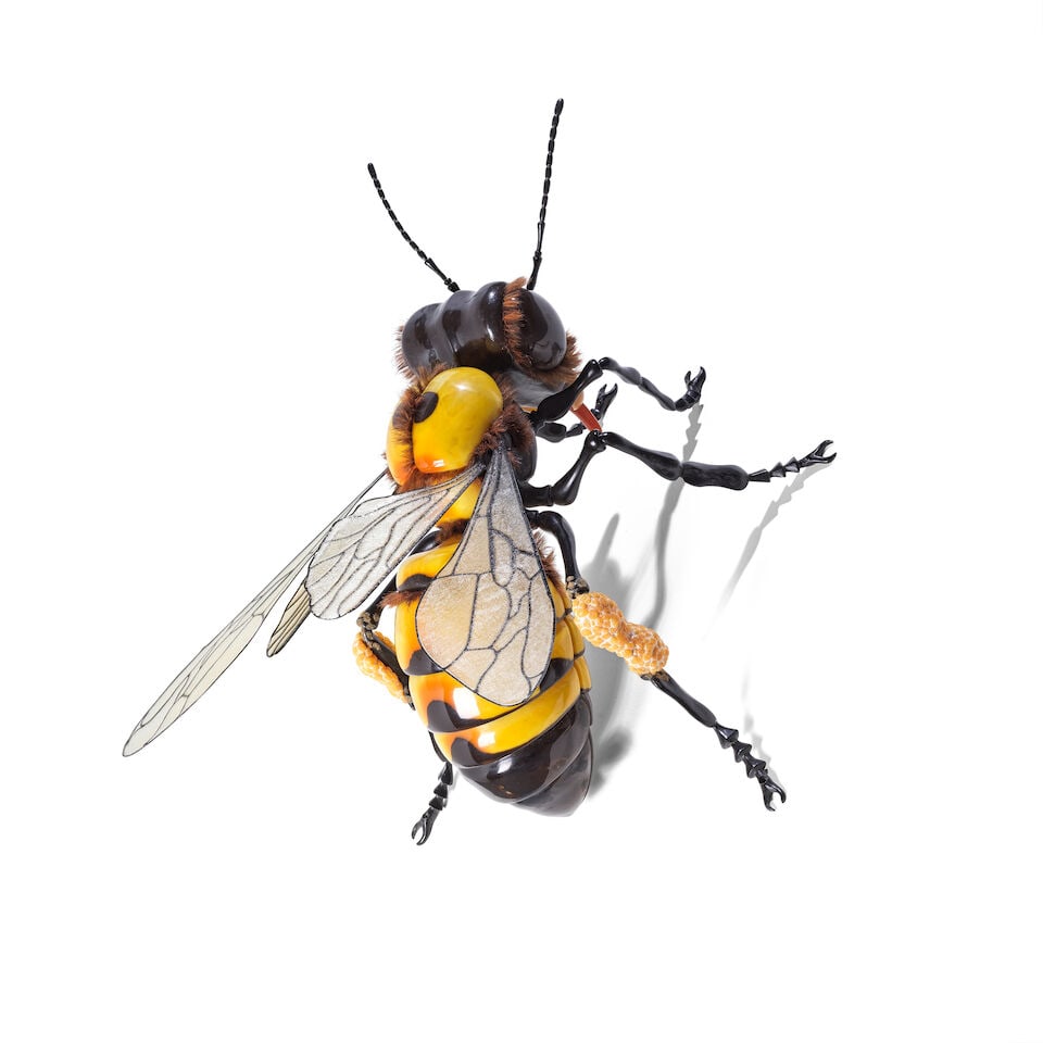 JEAN-FRANCOIS FOURTOU (N. 1964) Abeille 2012 - 2