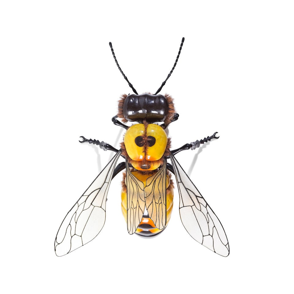 JEAN-FRANCOIS FOURTOU (N. 1964) Abeille 2012 - 3