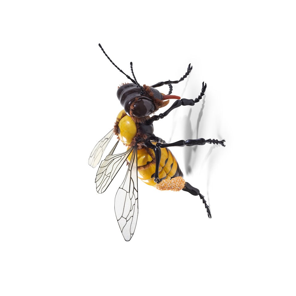 JEAN-FRANCOIS FOURTOU (N. 1964) Abeille 2012 - 4