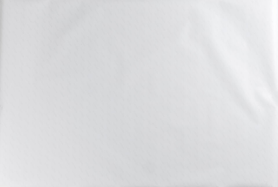 ZHAN WANG (N. 1962) Urban Landscape - Chicago 2005 - 2