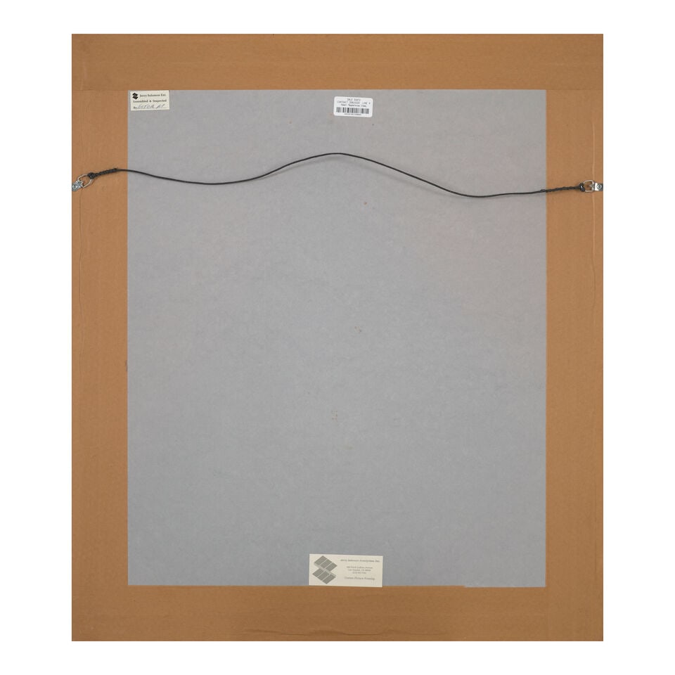 Robert Mapplethorpe (1946-1989); Irises; - 2