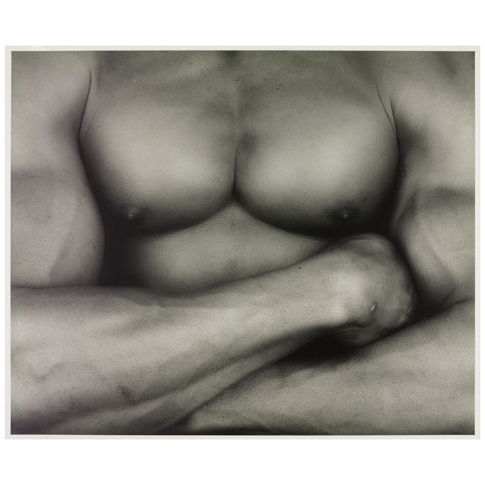 Robert Mapplethorpe (1946-1989); Chest / Livingston; - 2