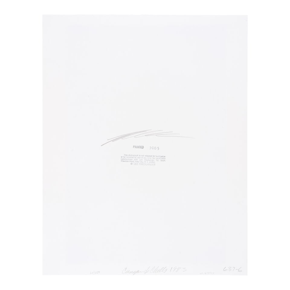 Lee Friedlander (born 1934); 'Canyon de Chelly'; - 2