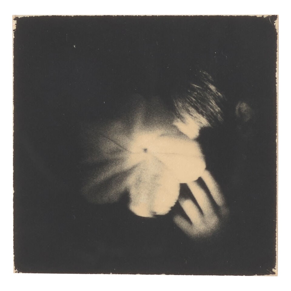 Masao Yamamoto (born 1957); Untitled #637 and Untitled #619 (from 'Box of Ku'); - 2