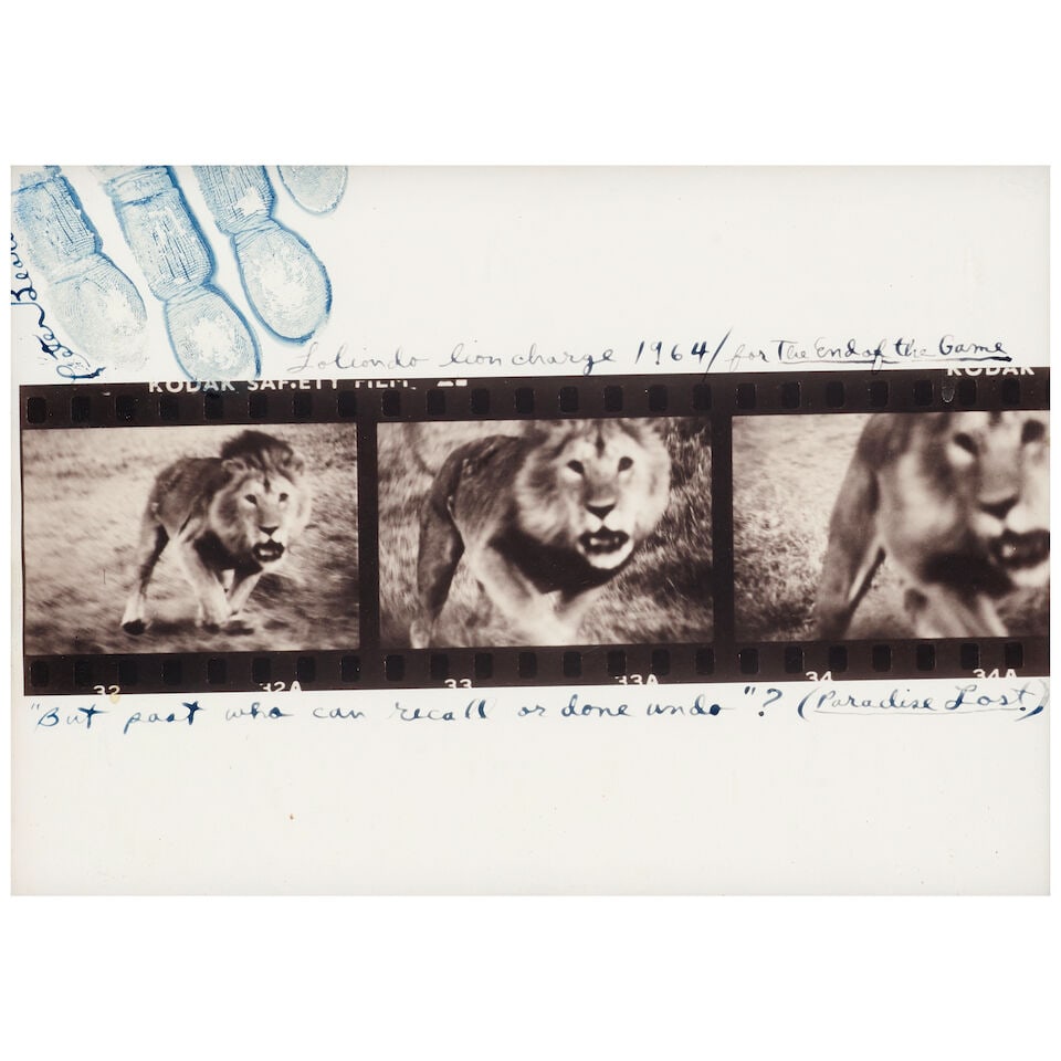 Peter Beard (1938-2020); 'Loliondo Lion Charge' (for 'The End of the Game');: Peter Beard (1938-2020) 'Loliondo Lion Charge' (for 'The End of the Game'), 1964 Gelatin silver print, printed later; signed, titled, dated, annotated, and hand-stamped in ink in the margins, framed,