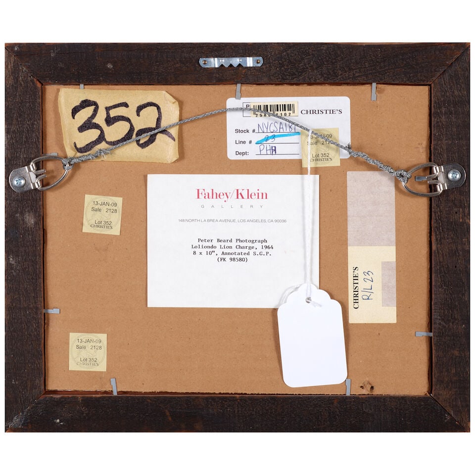 Peter Beard (1938-2020); 'Loliondo Lion Charge' (for 'The End of the Game'); - 3