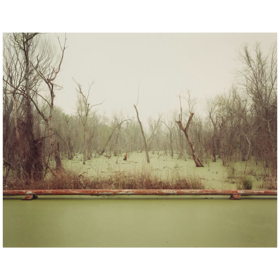 Richard Misrach (born 1949); 'Swamp and Pipeline, Geismar, Louisiana' (from 'Cancer Alley');: Richard Misrach (born 1949) 'Swamp and Pipeline, Geismar, Louisiana' (from 'Cancer Alley'), 1998 Chromogenic print, printed 2001; signed, titled, dated, and editioned '17/25' in ink in the margin, mou