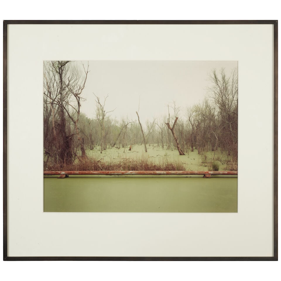 Richard Misrach (born 1949); 'Swamp and Pipeline, Geismar, Louisiana' (from 'Cancer Alley'); - 2