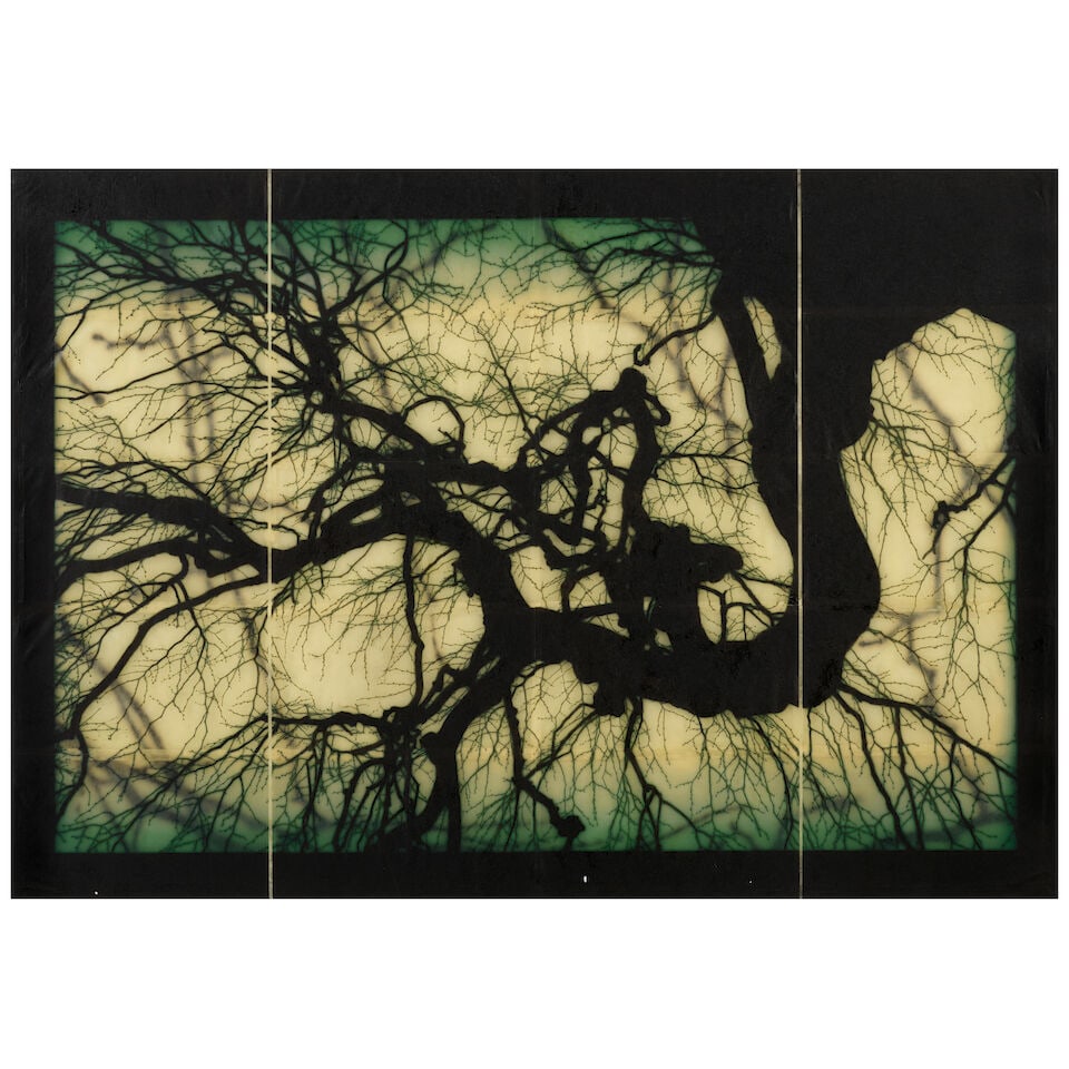 Doug and Mike Starn (born 1961); Structure of Thought 30;: Doug and Mike Starn (born 1961) Structure of Thought 30, 2013-21 Inkjet print on Thai mulberry paper and tissue papers with beeswax, encaustic, and varnish; mounted, framed, the artists' studio label,