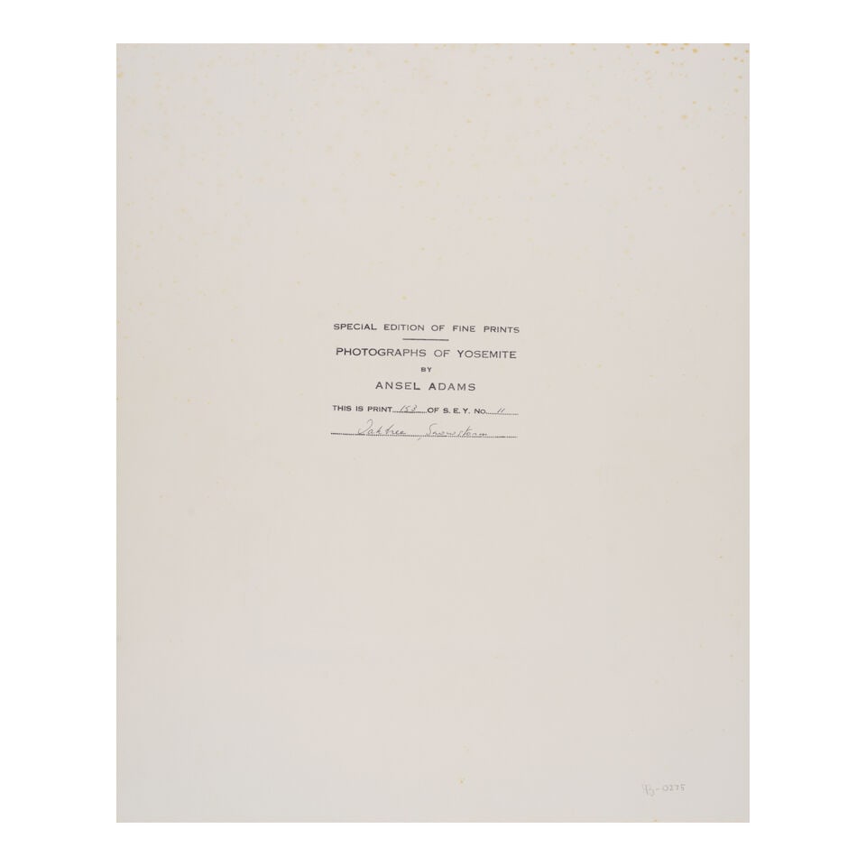 Ansel Adams (1902-1984); Oaktree, Snowstorm, Yosemite National Park; - 3