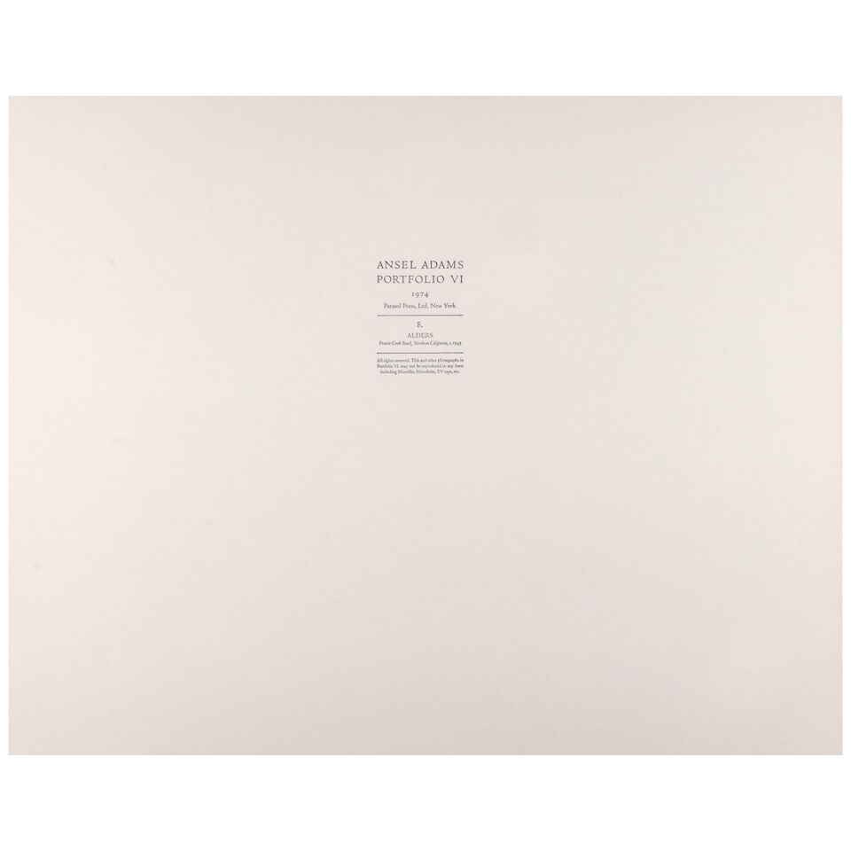 Ansel Adams (1902-1984); Alders, Prairie Creek Beach, Northern California (from 'Portfolio VI'); - 3