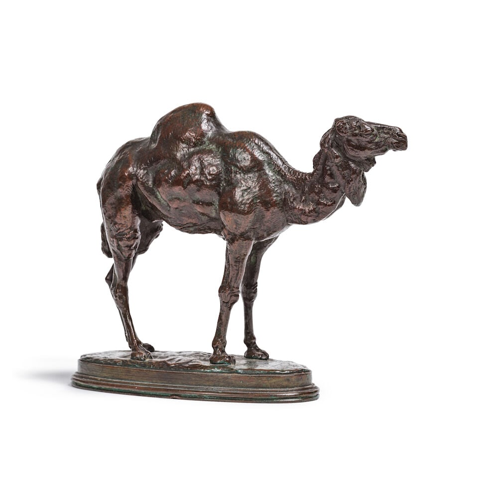 Modèle en bronze représentant « Dromadaire d'Algérie » (réduction)... - 4