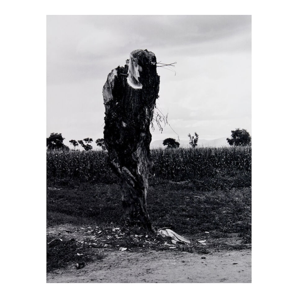 Manuel Alvarez Bravo (1902-2002); Four Photographs including: Enterramiento en Metepec (Burial i... (1 of 6)