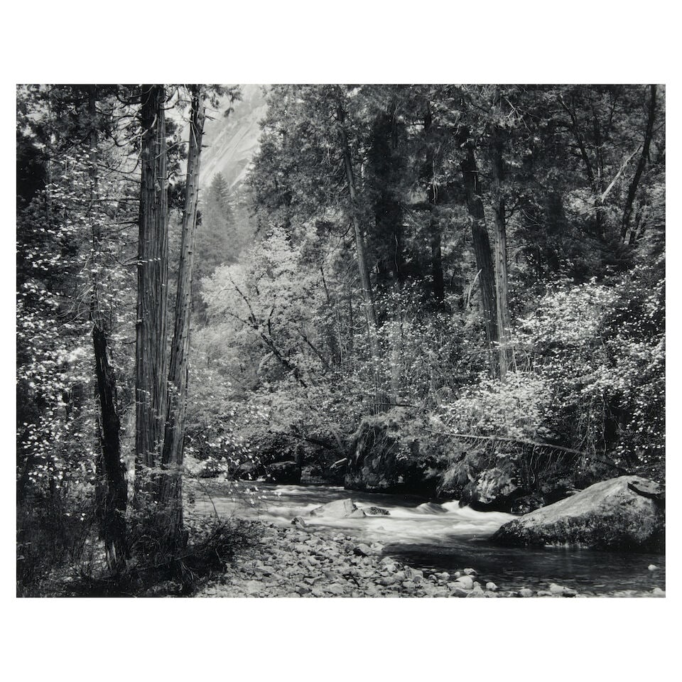 Ansel Adams (1902-1984); Tenaya Creek, Dogwood, Rain, Yosemite National Park, California;: Ansel Adams (1902-1984) Tenaya Creek, Dogwood, Rain, Yosemite National Park, California, 1948 Gelatin silver print; with 'Special Edition Photographs of Yosemite' stamp in ink on the verso; framed. 7 