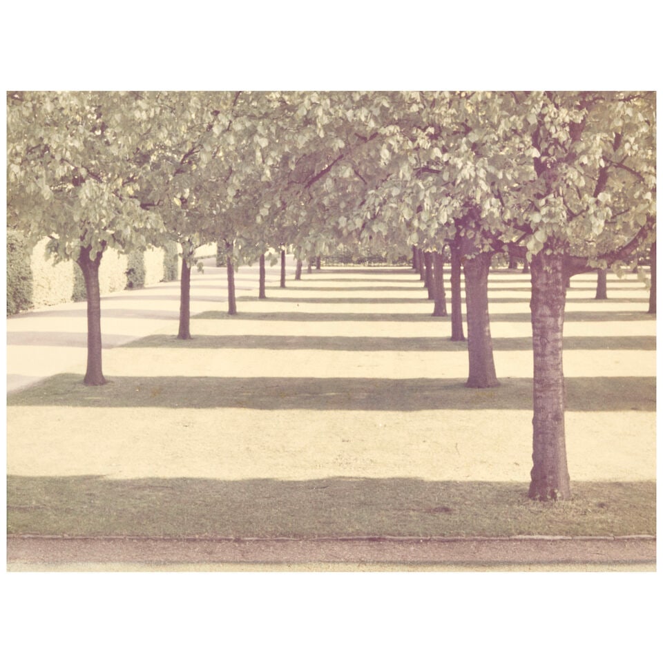 David Hockney (born 1937); Herrenhauser Park, Hannover, from the Portfolio Twenty Photographic P... (1 of 2)