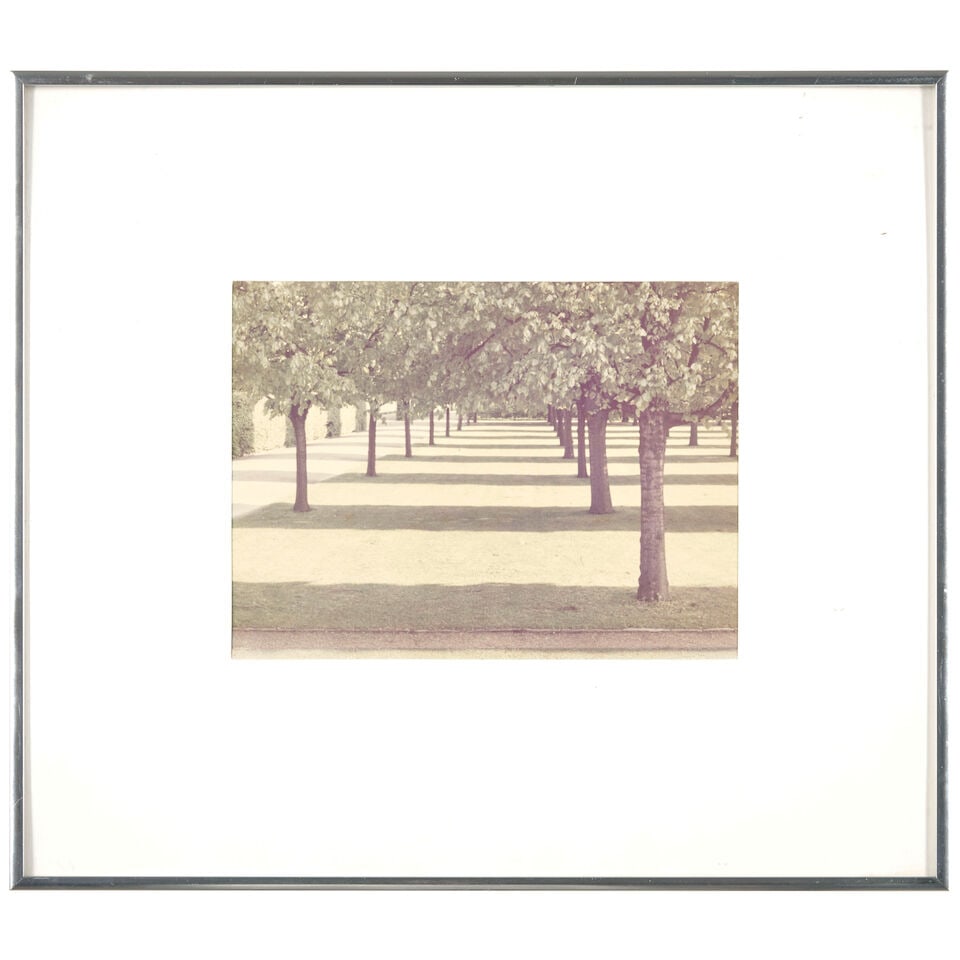 David Hockney (born 1937); Herrenhauser Park, Hannover, from the Portfolio Twenty Photographic P... - 2