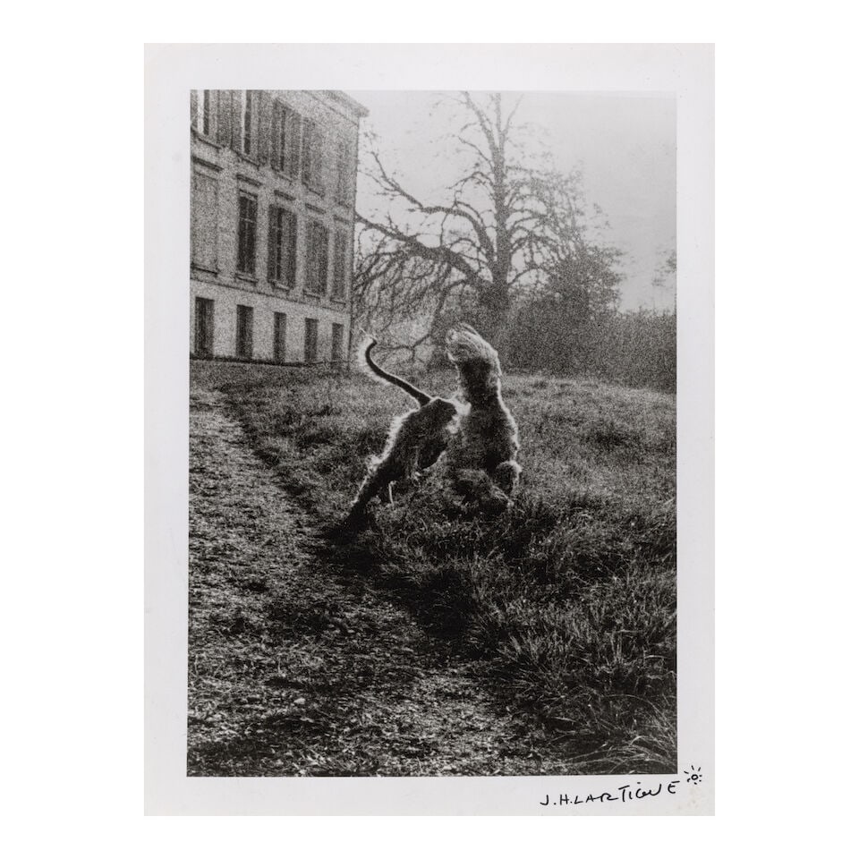 Jacques-Henri Lartigue (1894-1986); Untitled (Afghan Hound Running); - 2