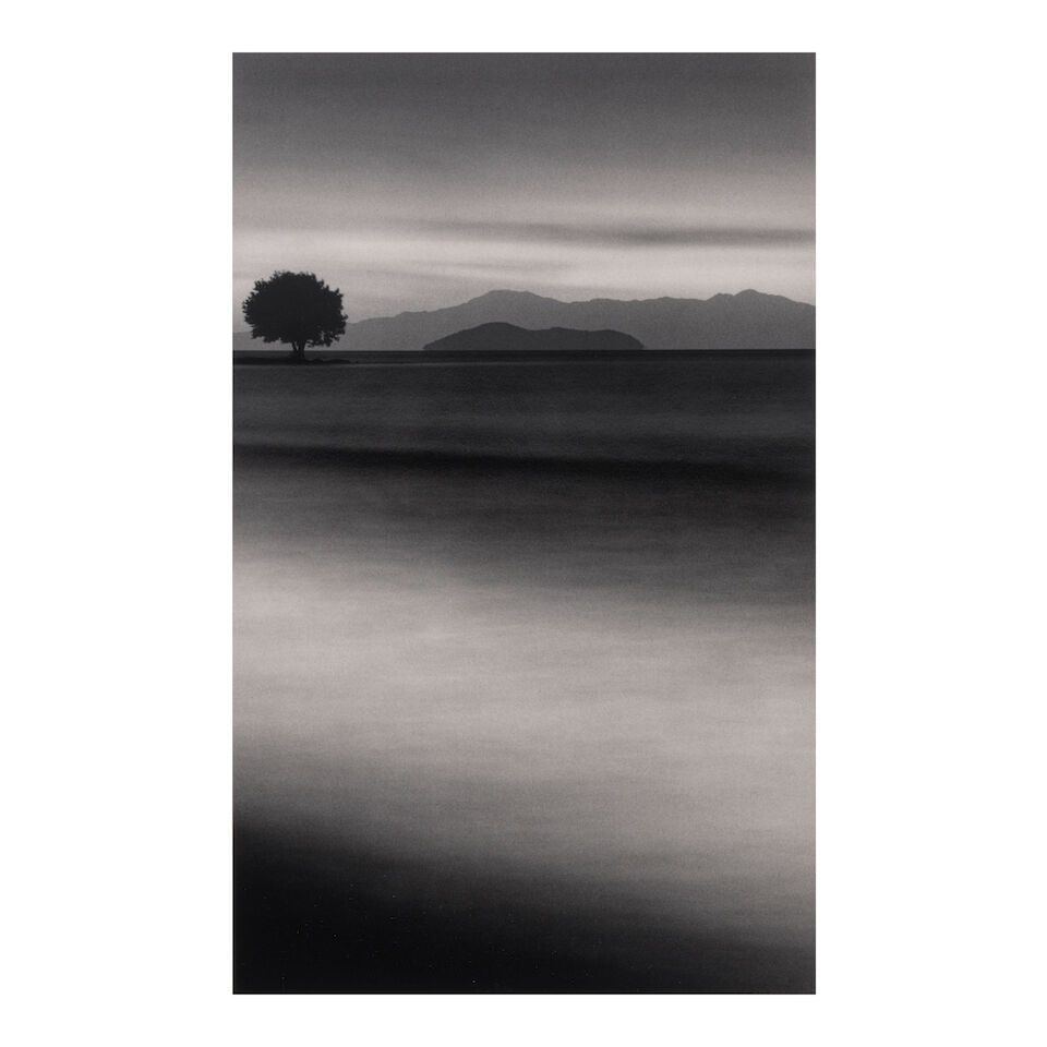 Michael Kenna (born 1953); 'Biwa Lake Tree, Omi, Honshu, Japan'; (1 of 2)