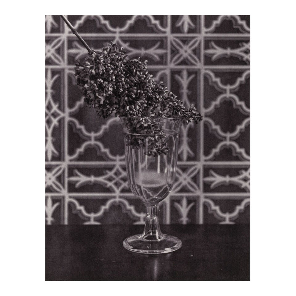 David McDermott & Peter McGough (born 1952 and 1958); Selected Images (comprising 'Experiment of... - 2