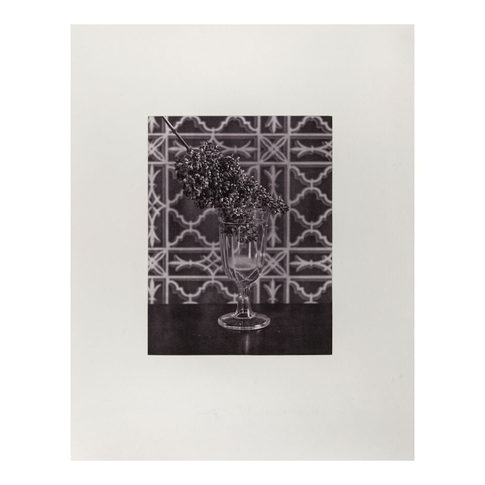 David McDermott & Peter McGough (born 1952 and 1958); Selected Images (comprising 'Experiment of... - 3