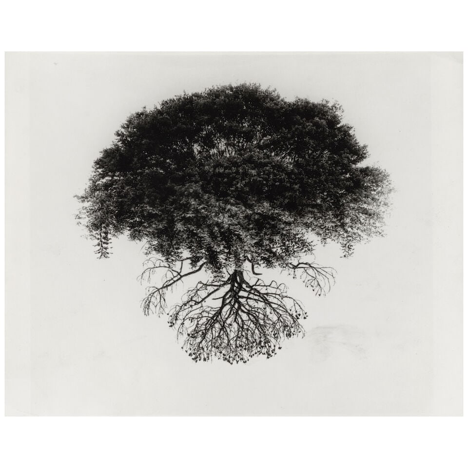 Jerry Uelsmann (1934-2022); Untitled (Floating Tree and Roots); (1 of 2)
