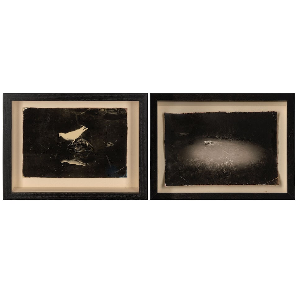Masao Yamamoto (born 1957); Untitled #1 and Untitled #13 (from 'Box of Ku'); (1 of 7)