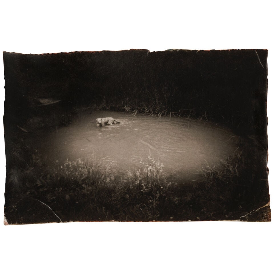 Masao Yamamoto (born 1957); Untitled #1 and Untitled #13 (from 'Box of Ku'); - 2