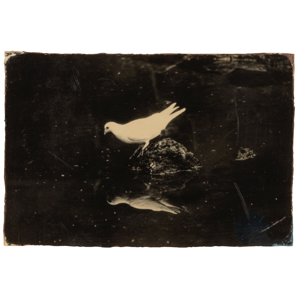 Masao Yamamoto (born 1957); Untitled #1 and Untitled #13 (from 'Box of Ku'); - 5