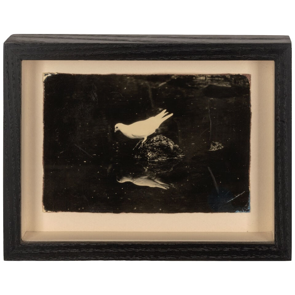 Masao Yamamoto (born 1957); Untitled #1 and Untitled #13 (from 'Box of Ku'); - 6