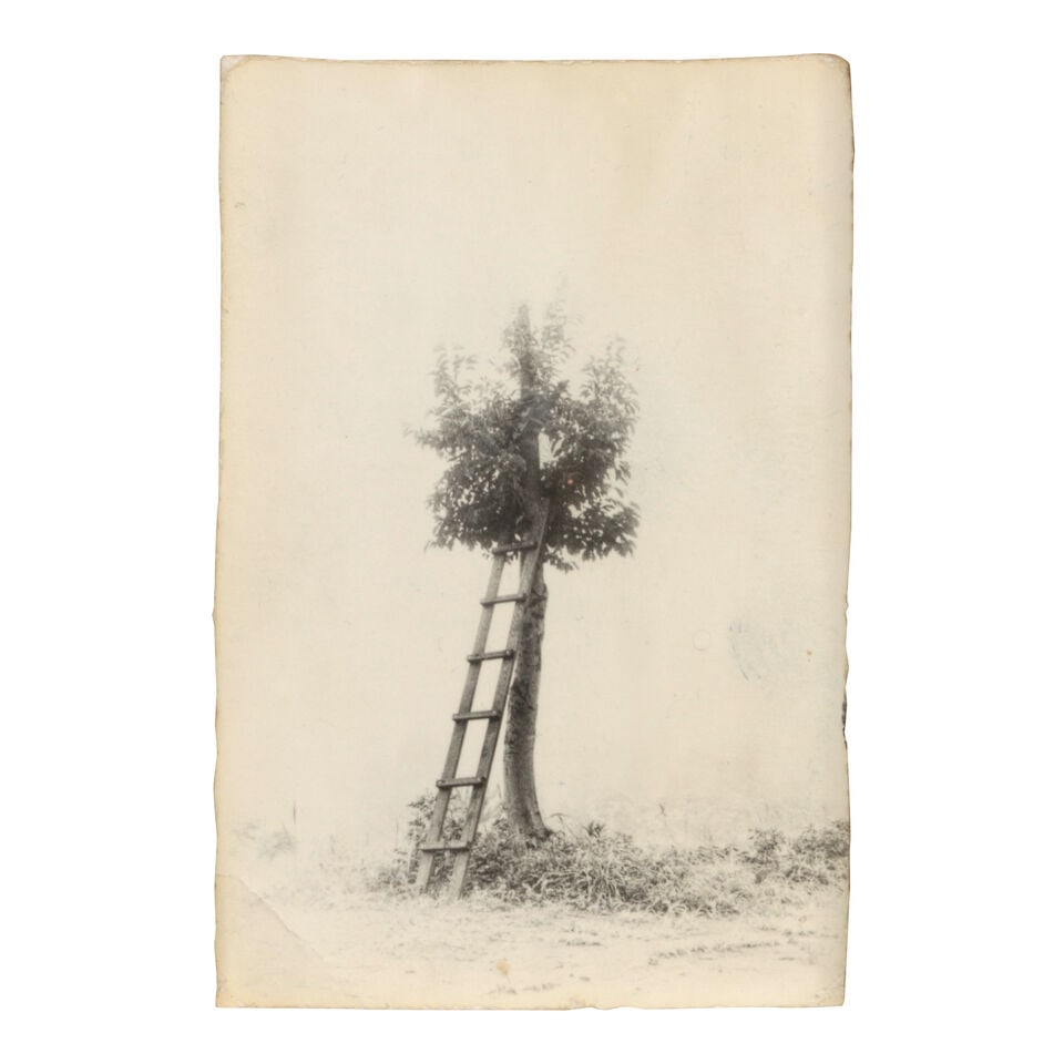 Masao Yamamoto (born 1957); Untitled #149 and Untitled #179 (from 'Box of Ku'); - 2
