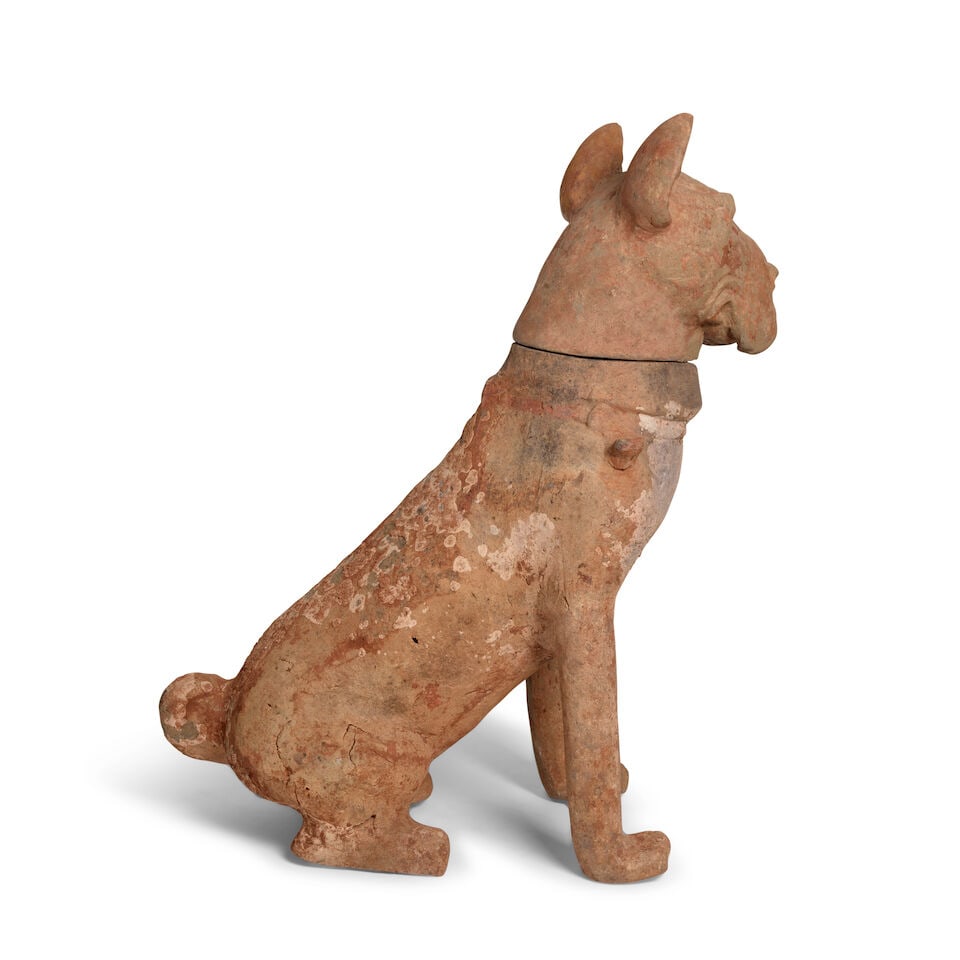 A MASSIVE SICHUAN GRAY POTTERY SEATED MASTIFF Eastern Han Dynasty - 2