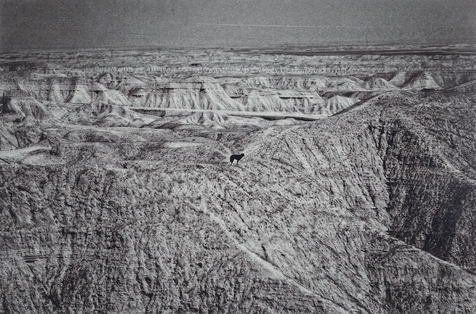 Babak Kazemi (Iran, born 1983) A Report For d'Arcy: Babak Kazemi (Iran, born 1983) A Report For d'Arcy c-print number 2 from an edition of 6, executed between 2002-2011 30 x 45cm (11 13/16 x 17 11/16in). Footnotes: Provenance: Property from a