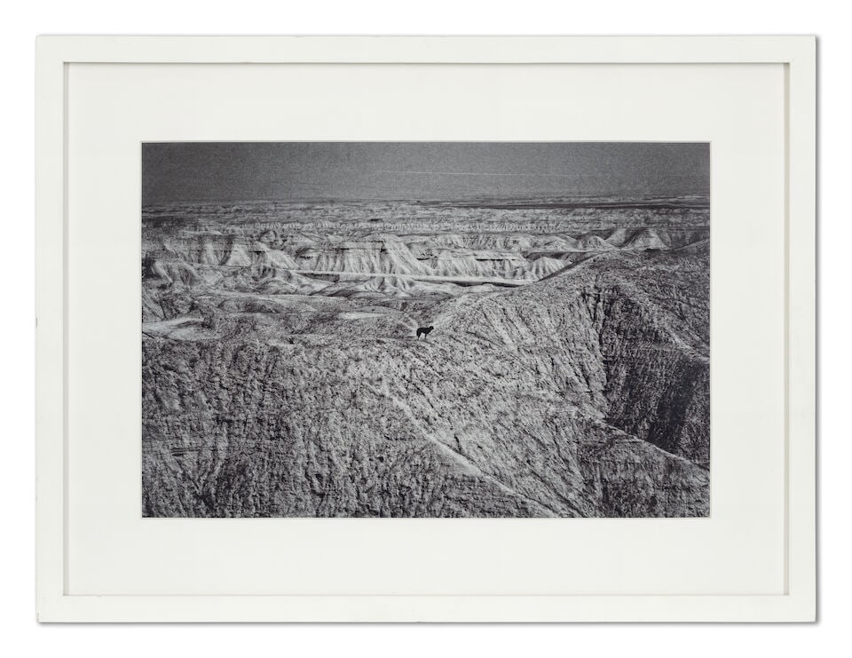 Babak Kazemi (Iran, born 1983) A Report For d'Arcy - 3