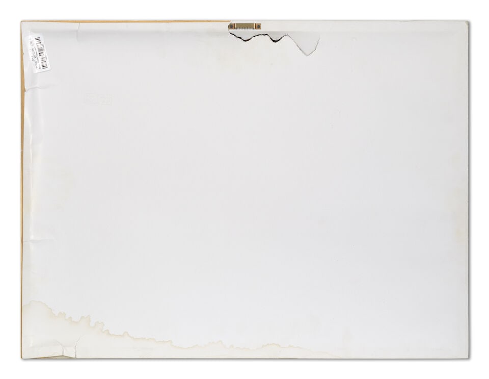 Babak Kazemi (Iran, born 1983) A Report For d'Arcy - 2