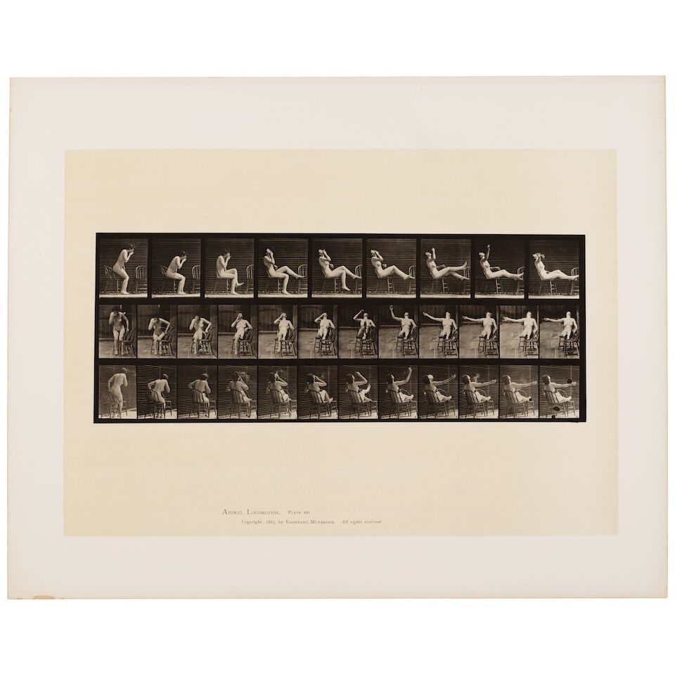 Eadweard Muybridge (1830-1904); Animal Locomotion (Plate 247); - 2