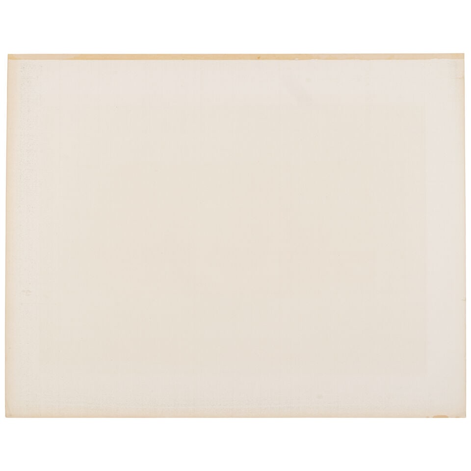 Eadweard Muybridge (1830-1904); Animal Locomotion (Plate 247); - 3